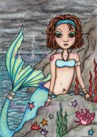 Calypso